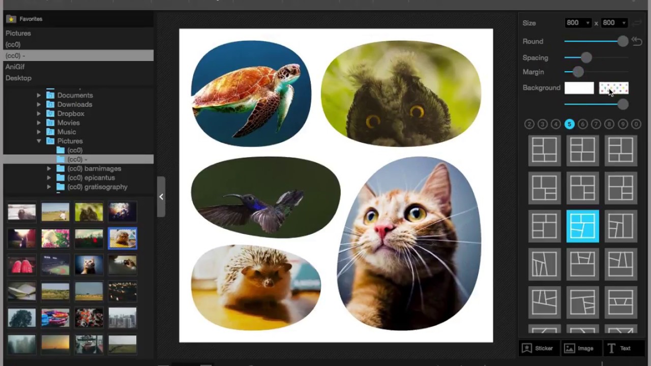 best mac app for picture collage